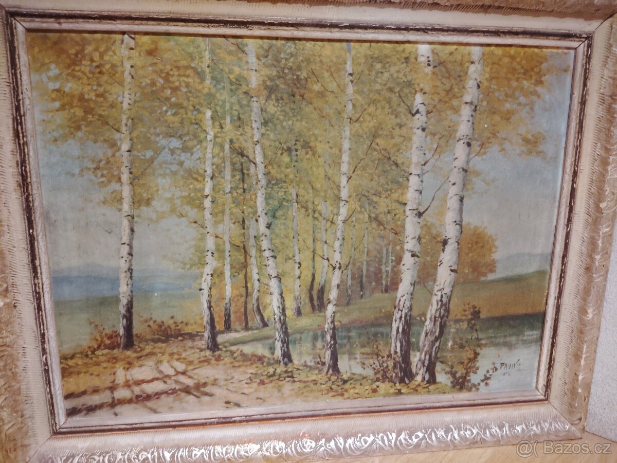 Obrazy pozůstalost - 13