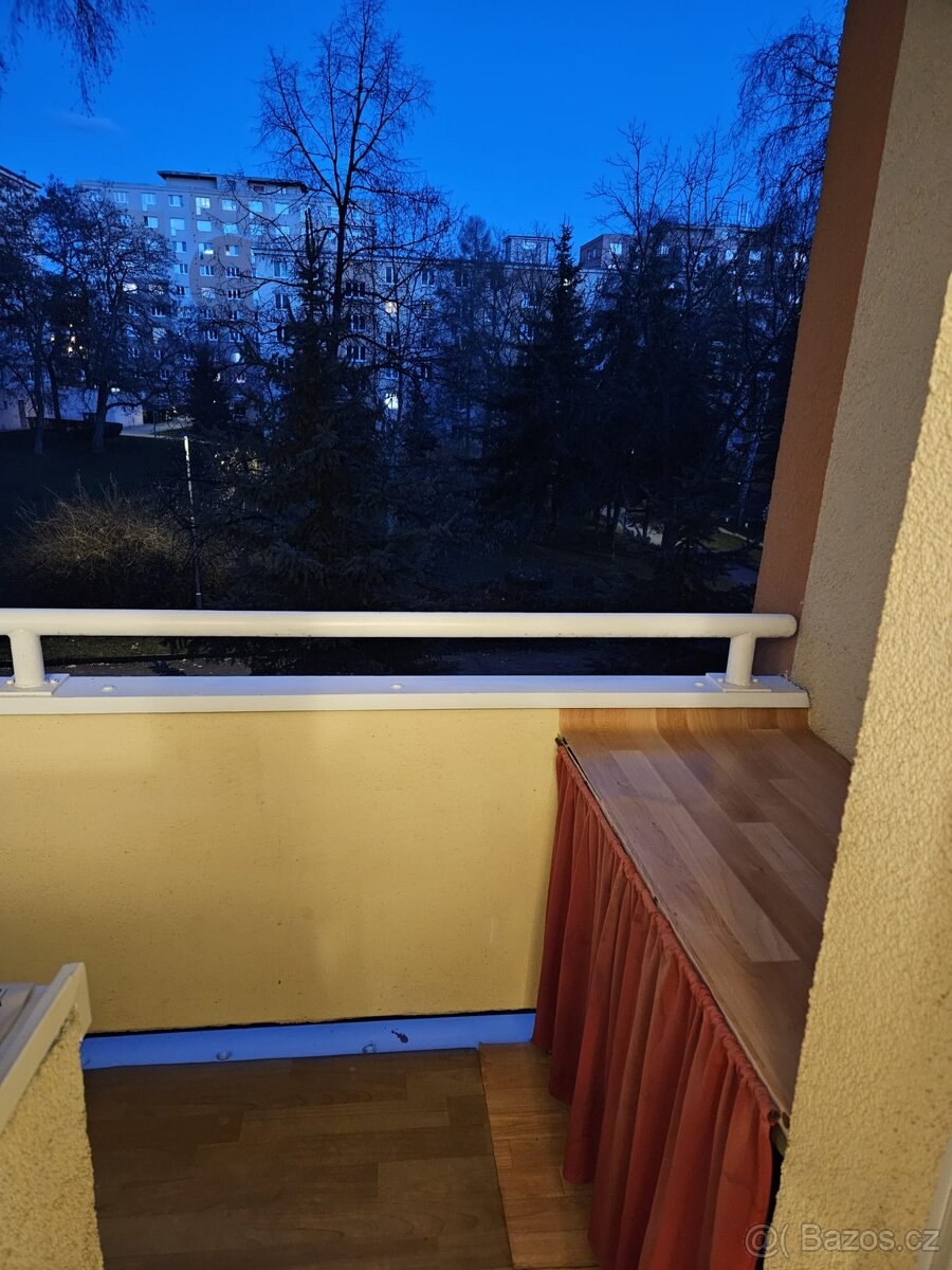 Pronájem bytu 2 + 1 - 13