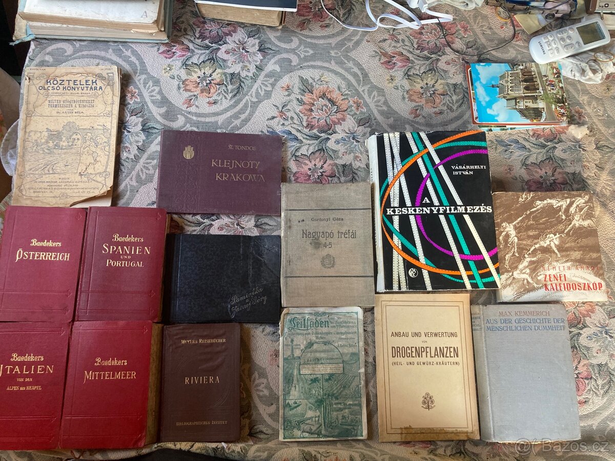 Cizojazyčna literatúra - 13