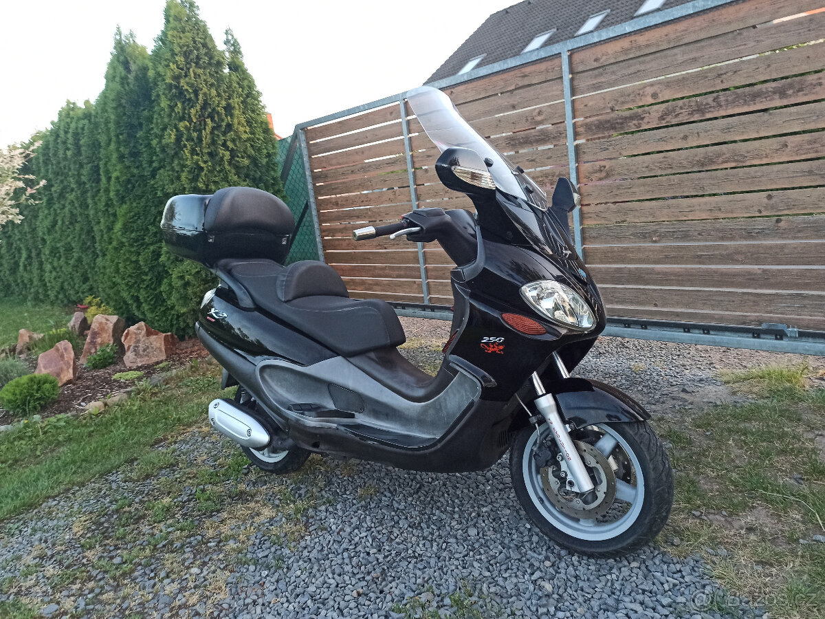 Piaggio X9 250 Evolution R.V.2004 - 13