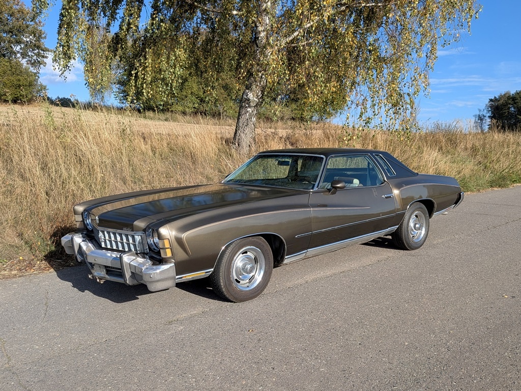 Chevrolet Monte Carlo, r.v. 1973 - 13