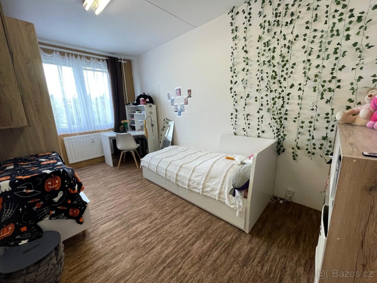 Prodej bytu po rekonstrukci, 3+1, Manětínská, Plzeň - 13