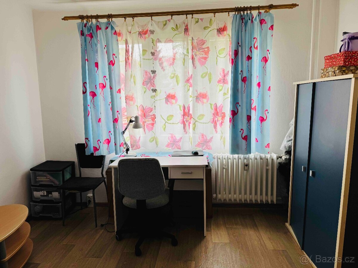 Prodej, byt 2+1, 56m2, ul. Smrková, Plzeň - město - 13