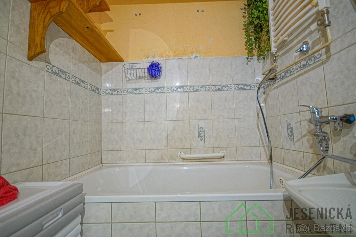 Pronájem bytové jednotky 3+1 ve městě Javorník - 13