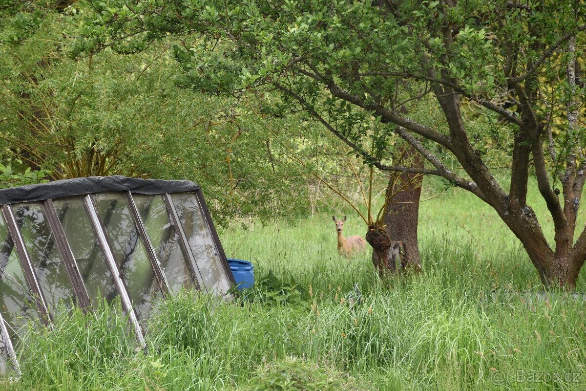 Rodinný dům na polosamotě u Krakovce , 140 m², pozemek 8.335 - 13