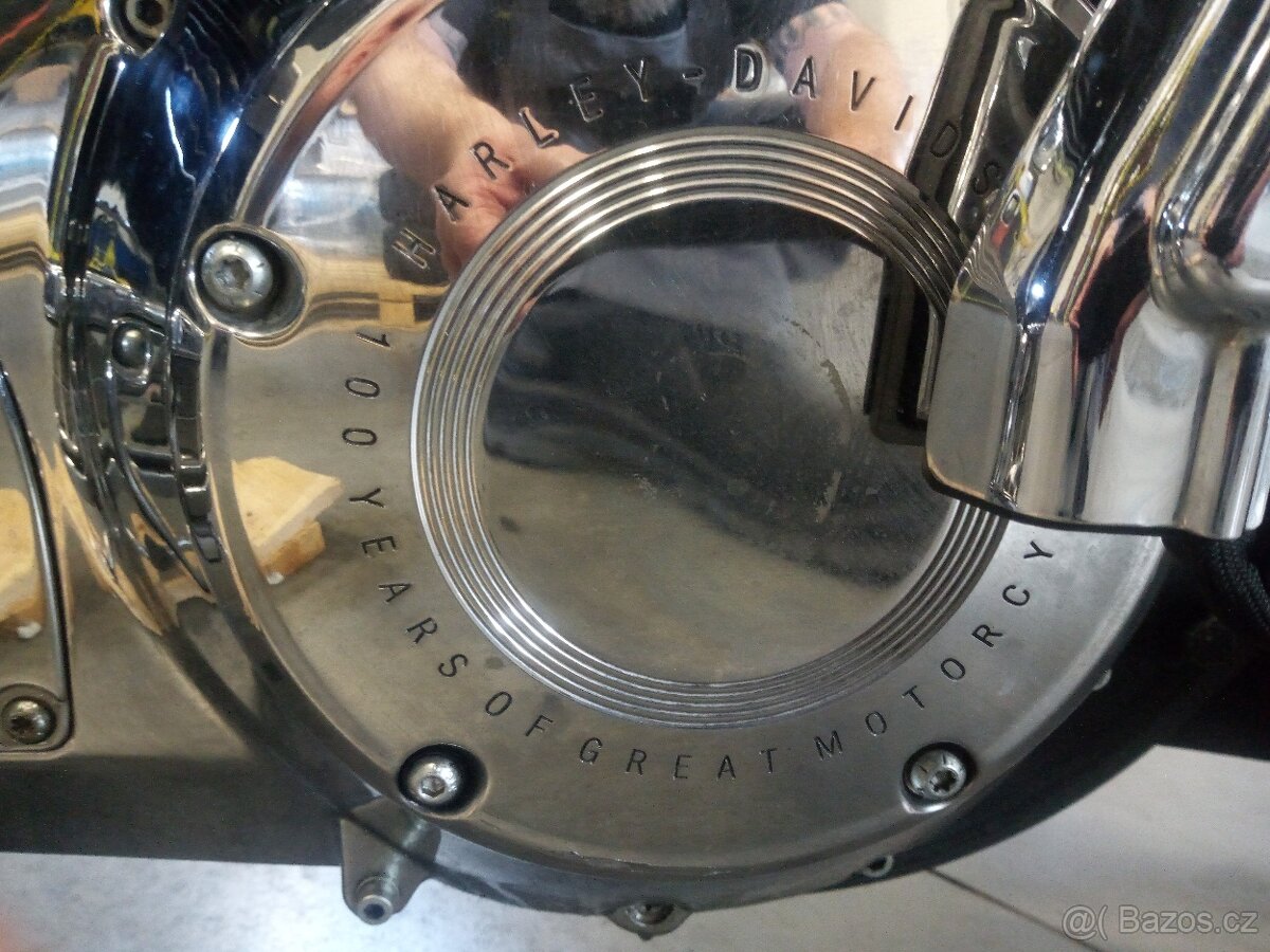 Harley-Davidson Electra Glide Ultra Classic 100th TC 88 - 13