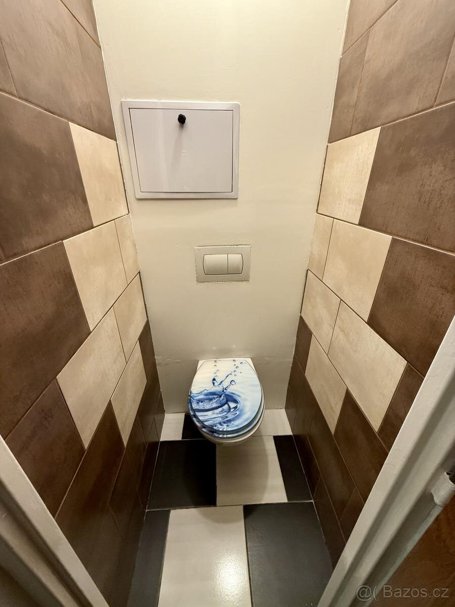 Pronájem bytu 2+1+L 55 m2 - 13