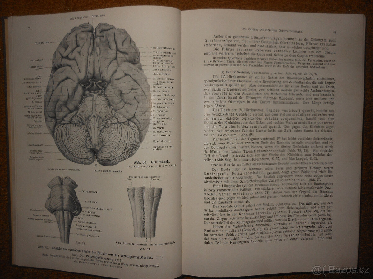 Staré knihy Anatomie člověka - 13