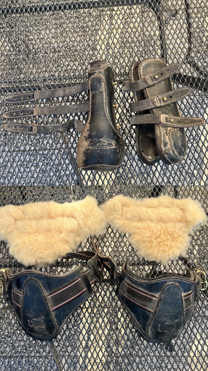 Věci pro koně i jezdce - 13