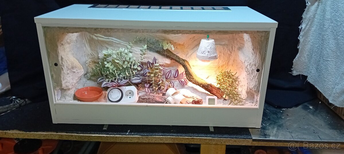 Terárium - 13