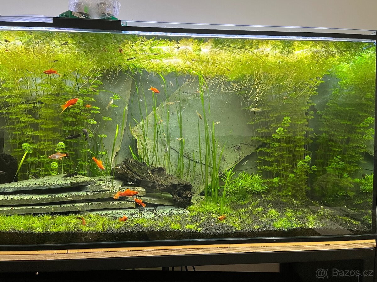 Akvárium cca 900litrů - 13