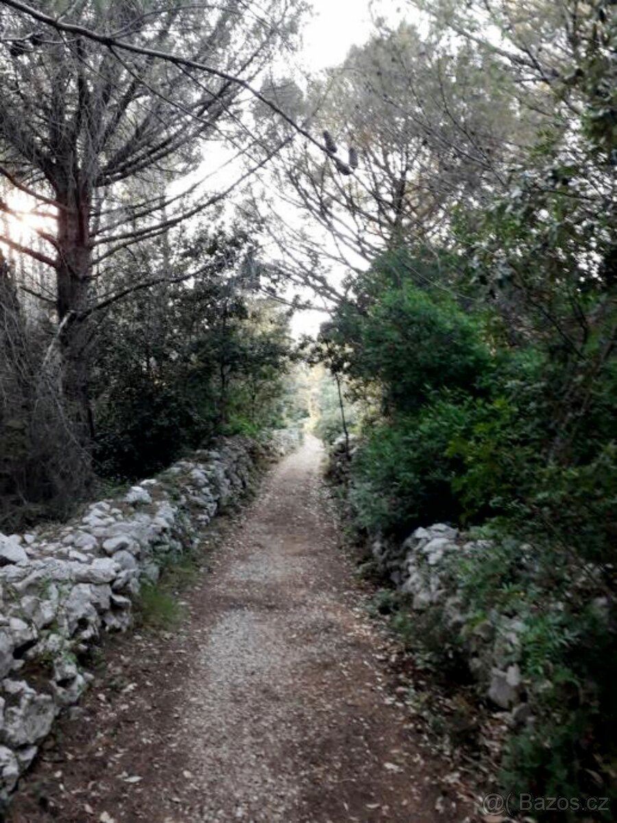 Dům / Chorvatsko / ostrov Ugljan - 13