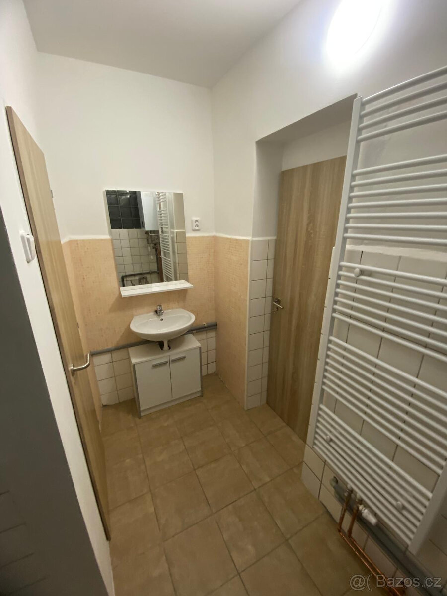 Pronájem bytu 2+KK - Oldřichov u Duchcova - 13