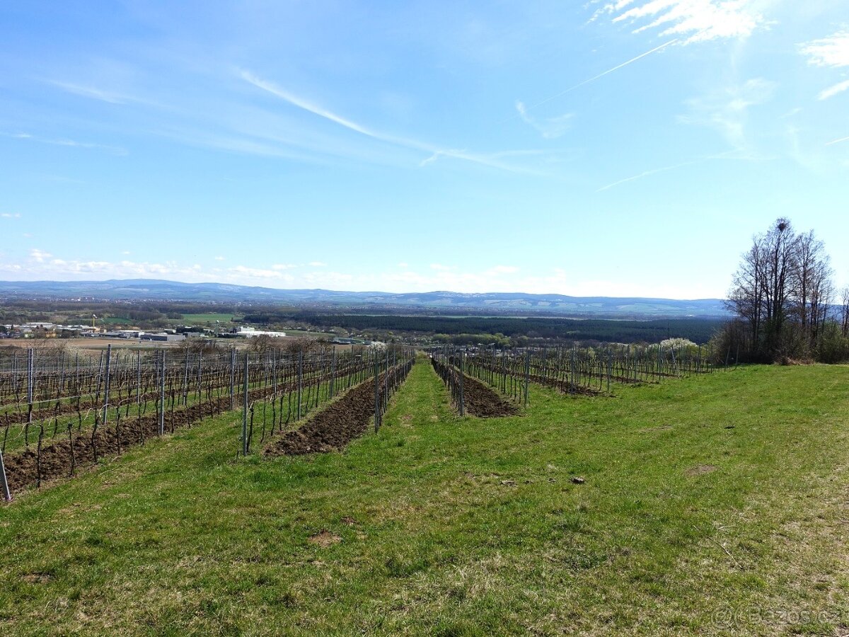 Prodej vinohradu 4114 m², Bzenec - 13