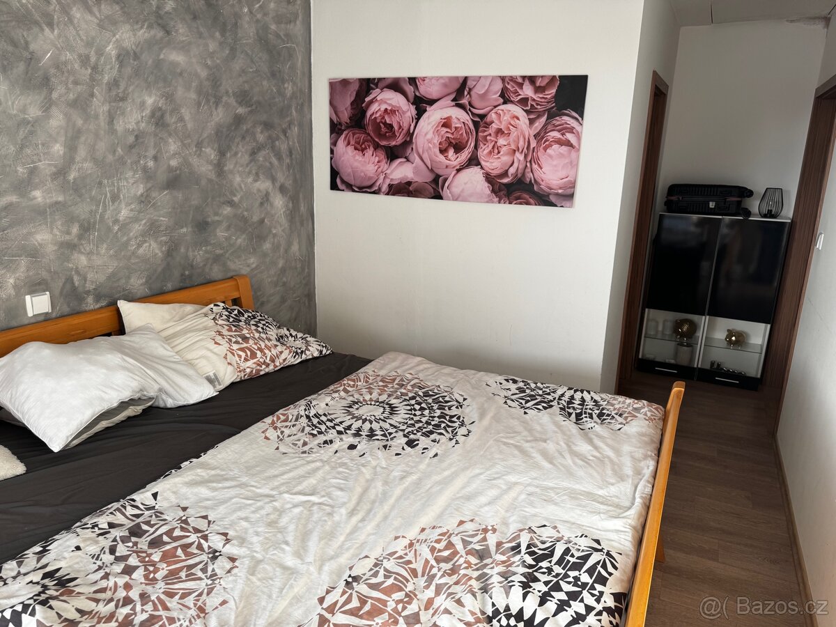 Pronájem-prodej rodinného domu s autodílnou - 13