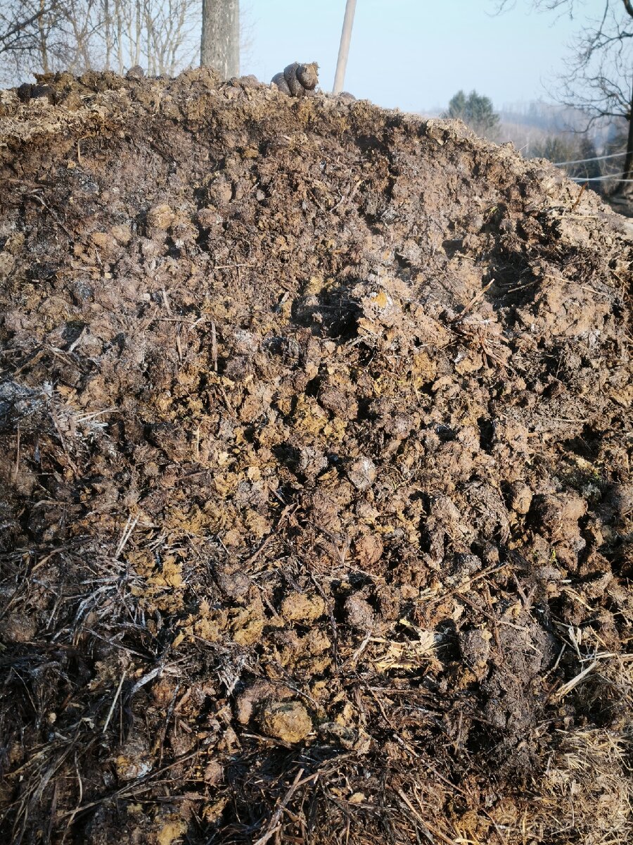 Kvalitní koňský hnůj - 13