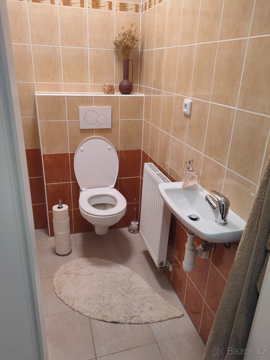 Útulné bydlení 3KK Křimice - 13