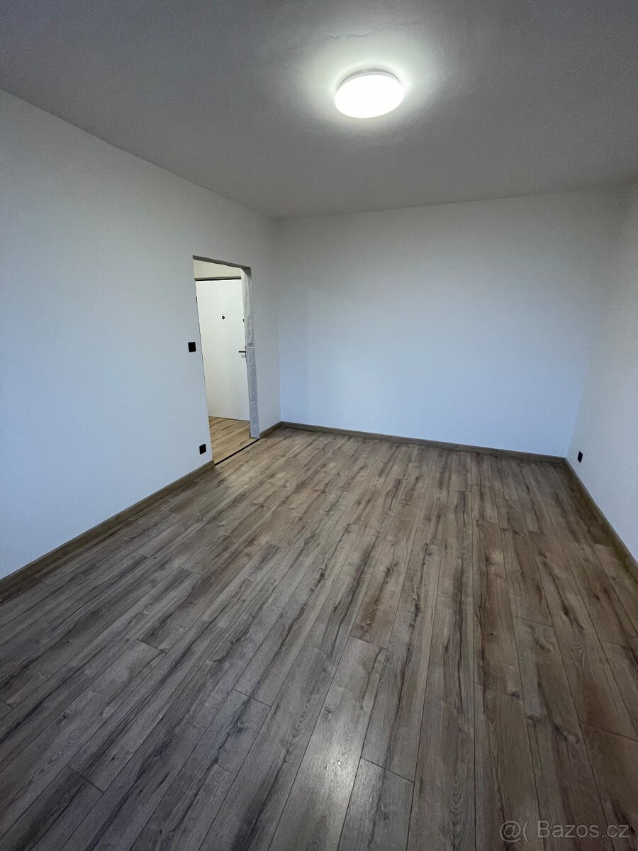 Byt ŽIDLOCHOVICE 1+1 - 13