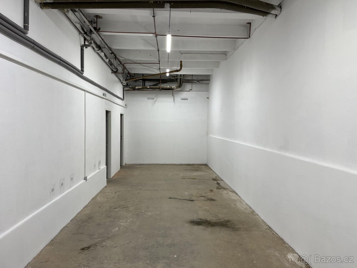 Nebytové prostory 135 m2 - 13