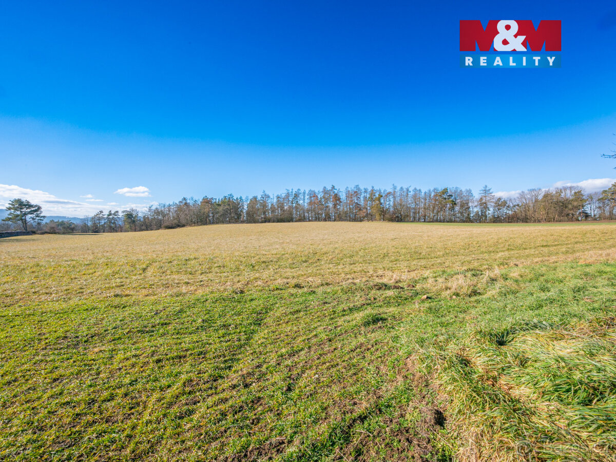 Prodej louky, 11767 m², Benešov - 13