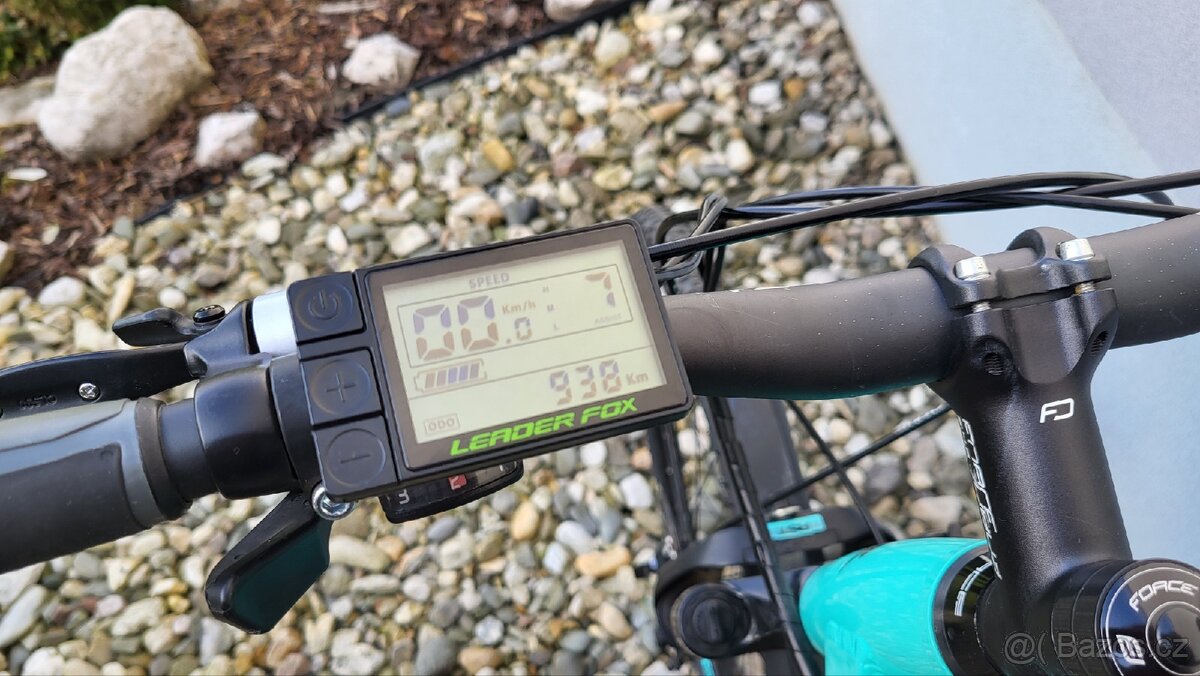 Leader Fox Venosa - 13