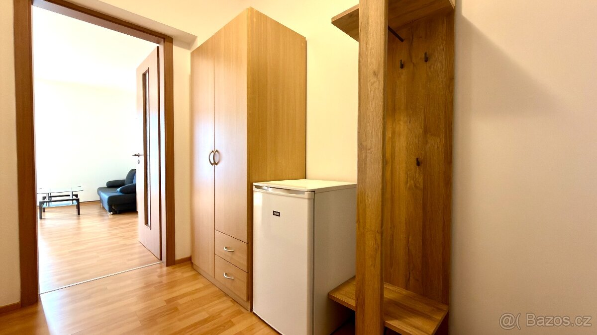 Pronájem bytu 1+kk Praha 10 - 13