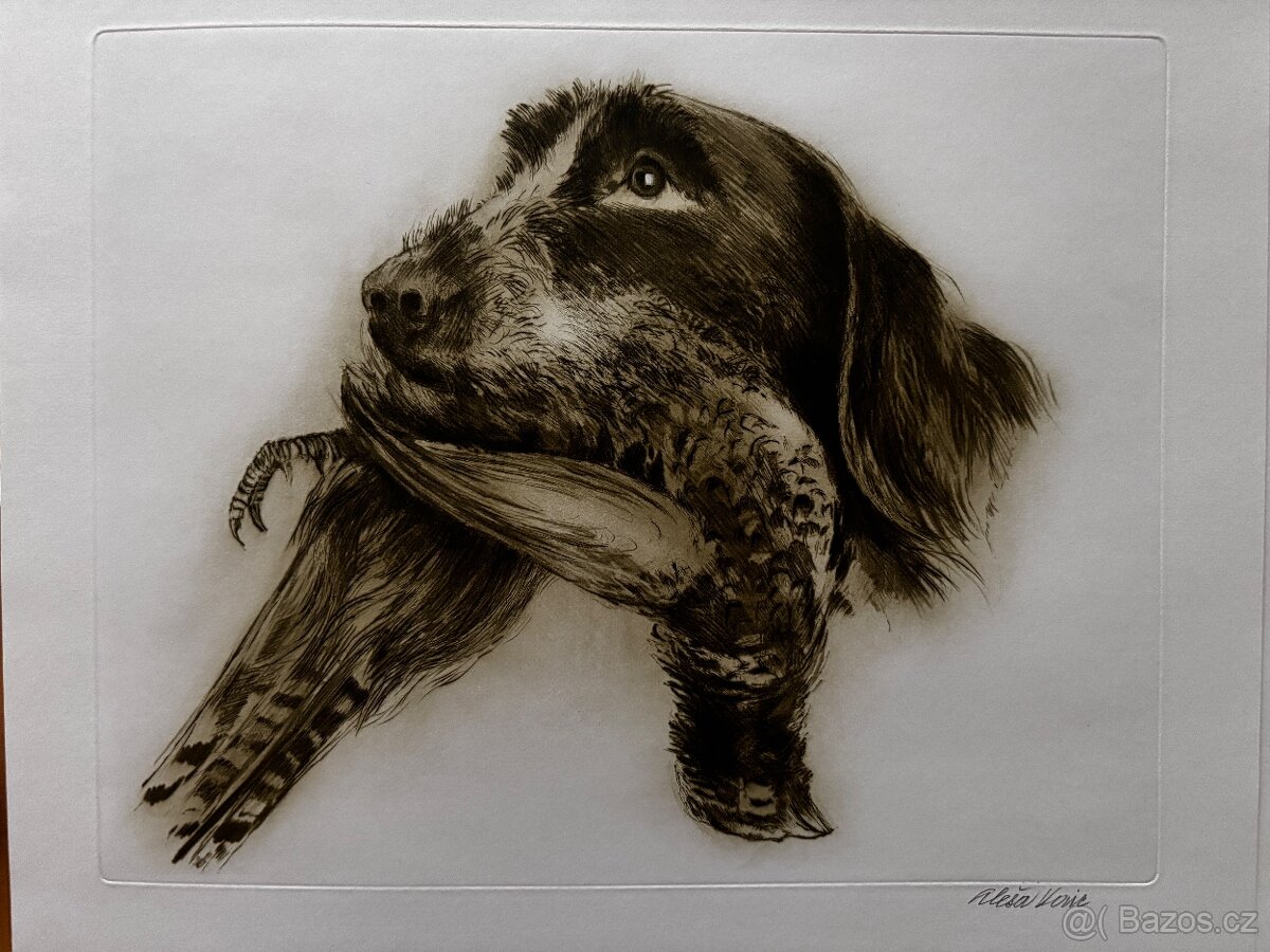 Ales Vaic - lesnicka tematiky - 13