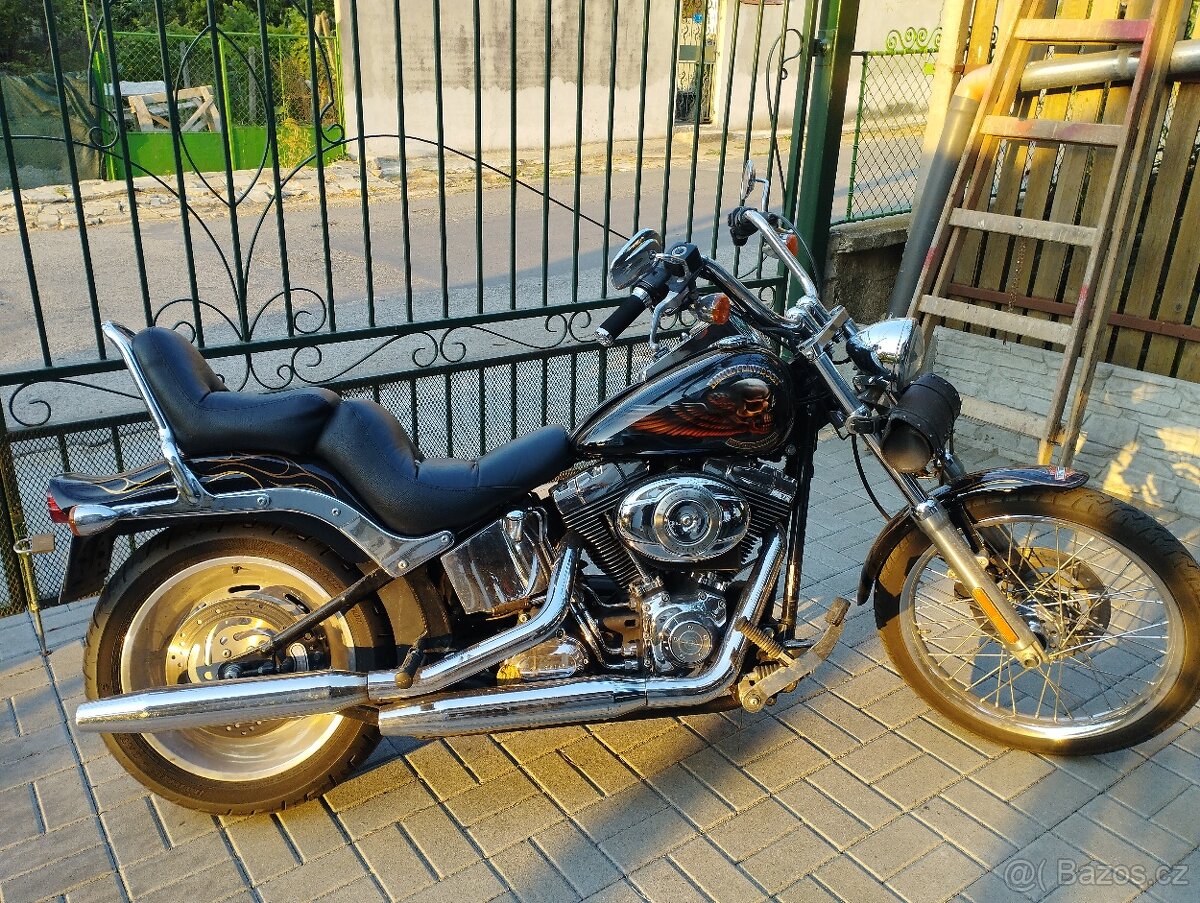 Harley Davidson softail 1600cm - 13