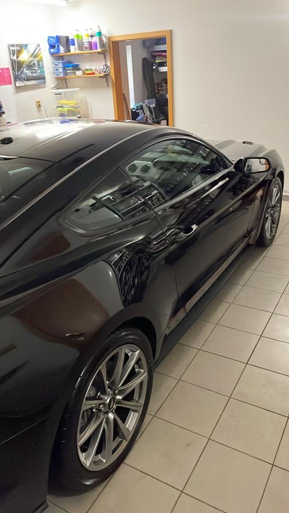 Mustang V8 5.0 Fastback - 13