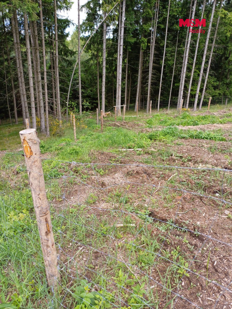 Prodej lesa, 9634 m², Hrazany - 13
