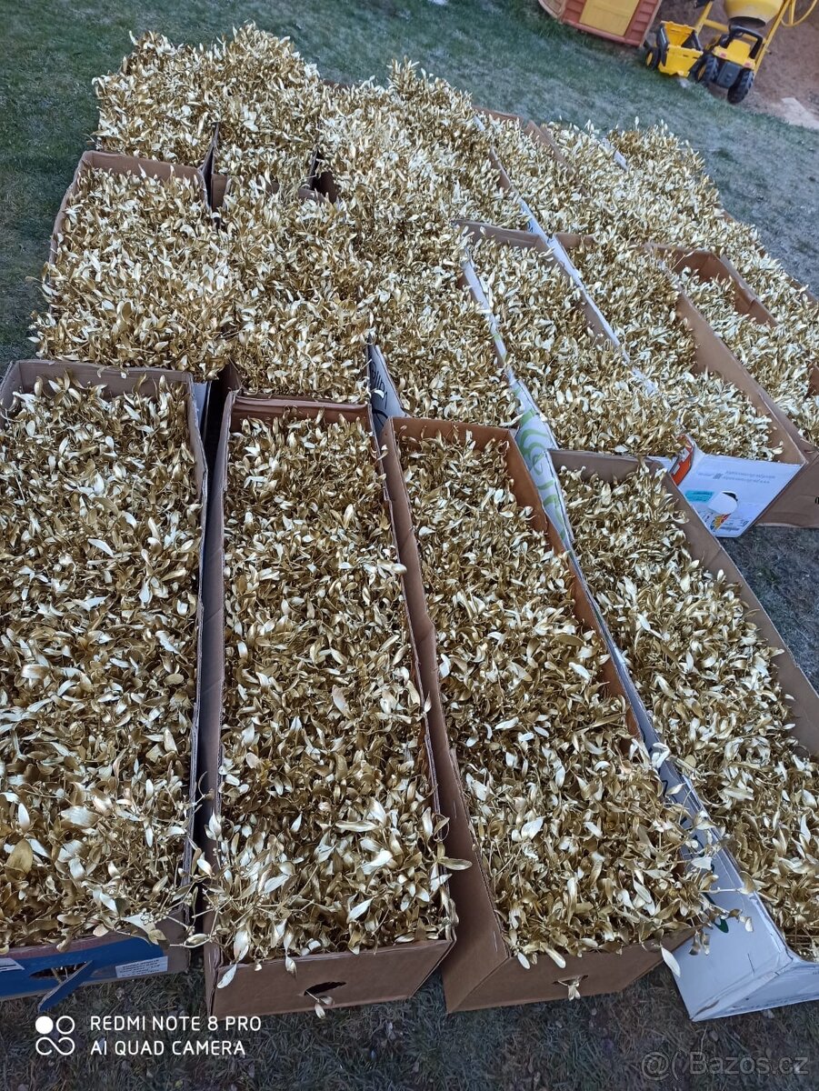 Prodej jmelí 2025🌿 - 13