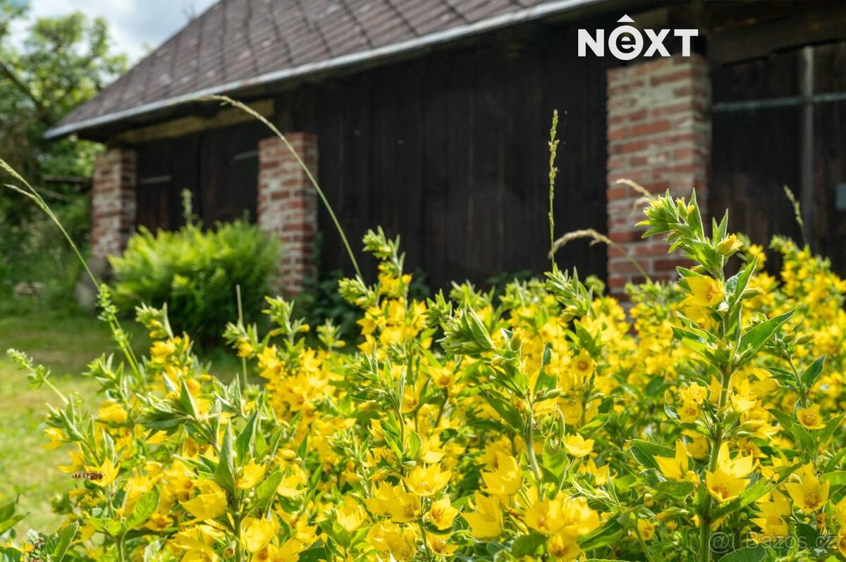 Prodej Chalupa, 160㎡ - 13