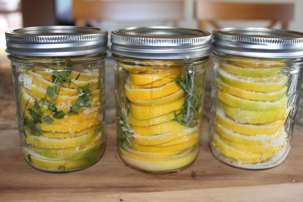 Citronové popínavé mini okurky (10 semen) - 13