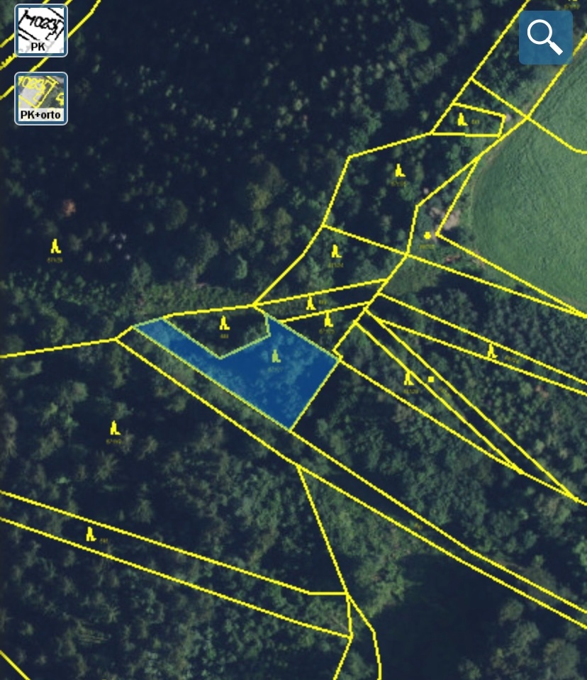 Lesní pozemek Jedlí - 13