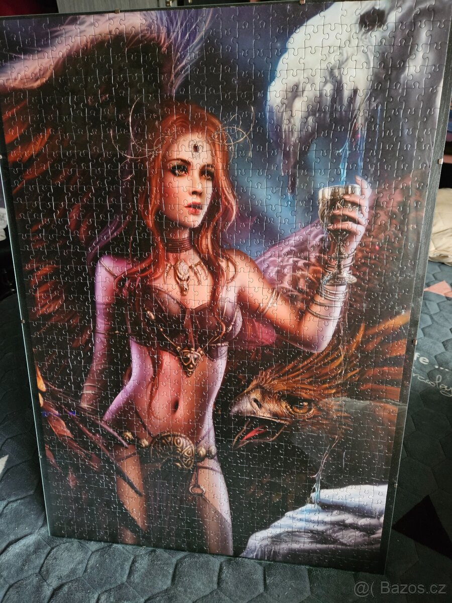 Obraz z puzzlí - 13