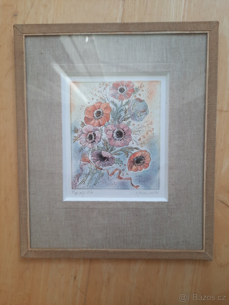 Obrazy Věry Tošenovské - 13