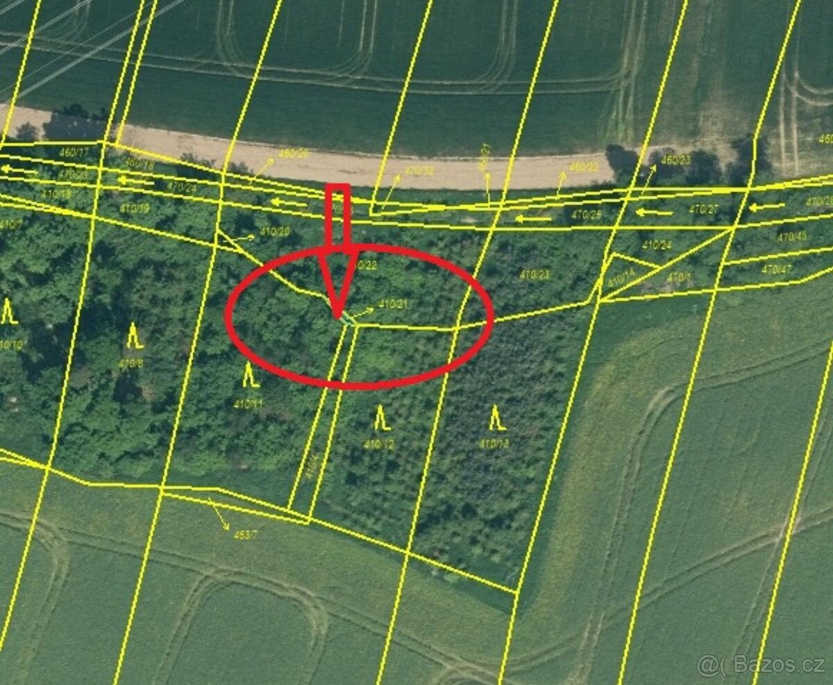 Prodej lesních pozemků v k.ú. Kočín - 13