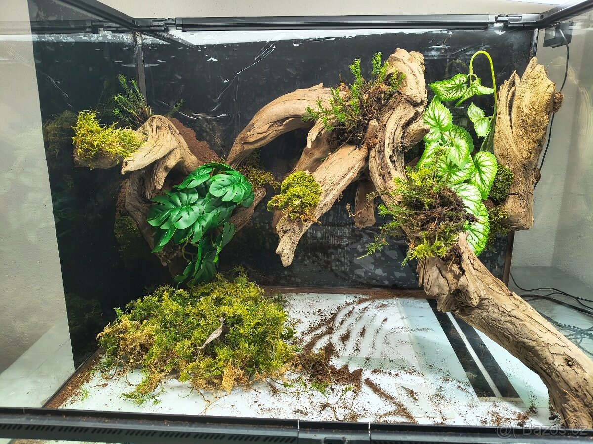 Terárium 60x45x45 - 13