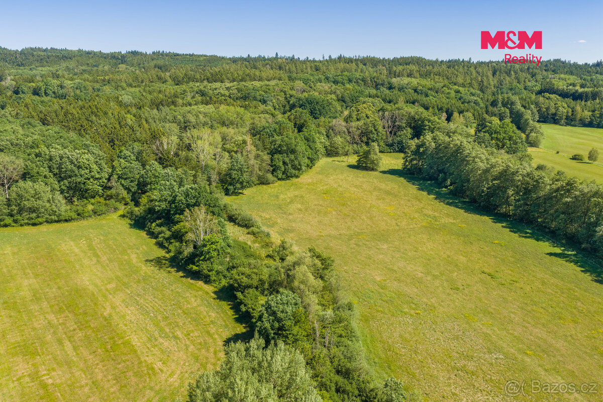 Prodej louky, 6763 m², Louňová - 13