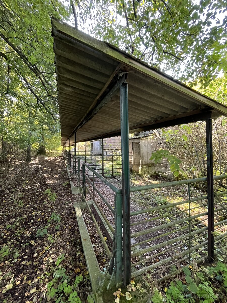Veřejná dražba – zemědělské objekty Týček - 13
