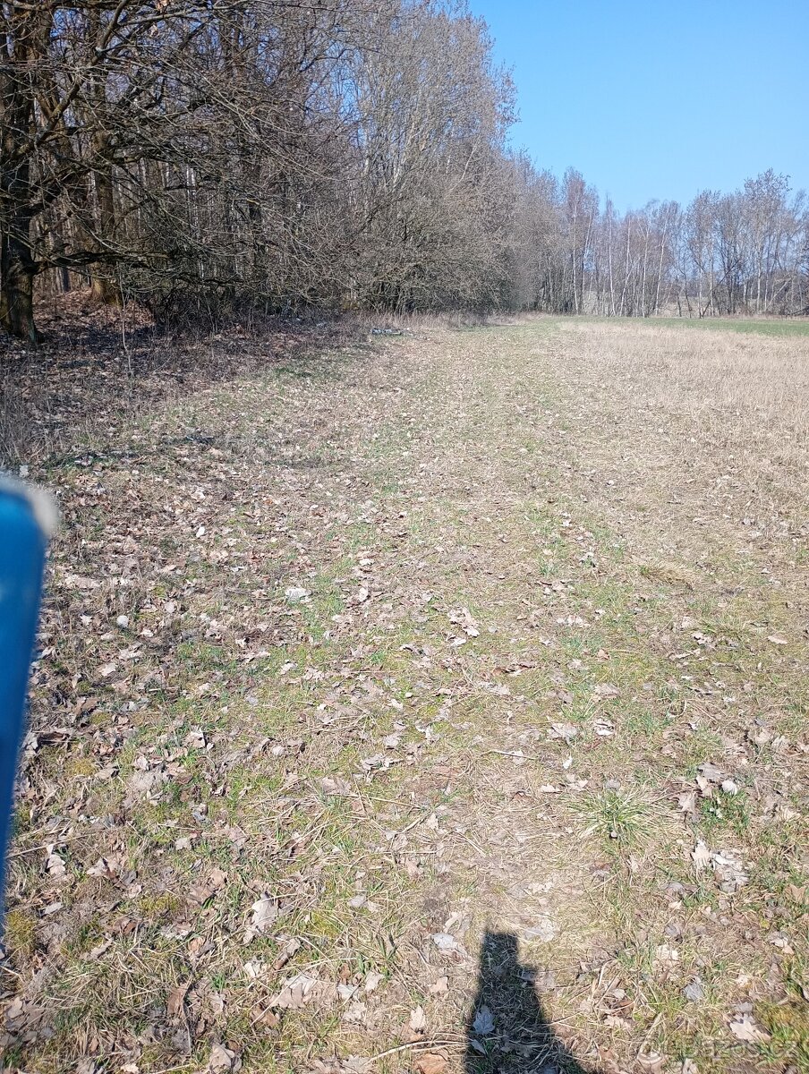Krásný pozemek u Trnobran, u Litoměřic; louka u lesa - 13