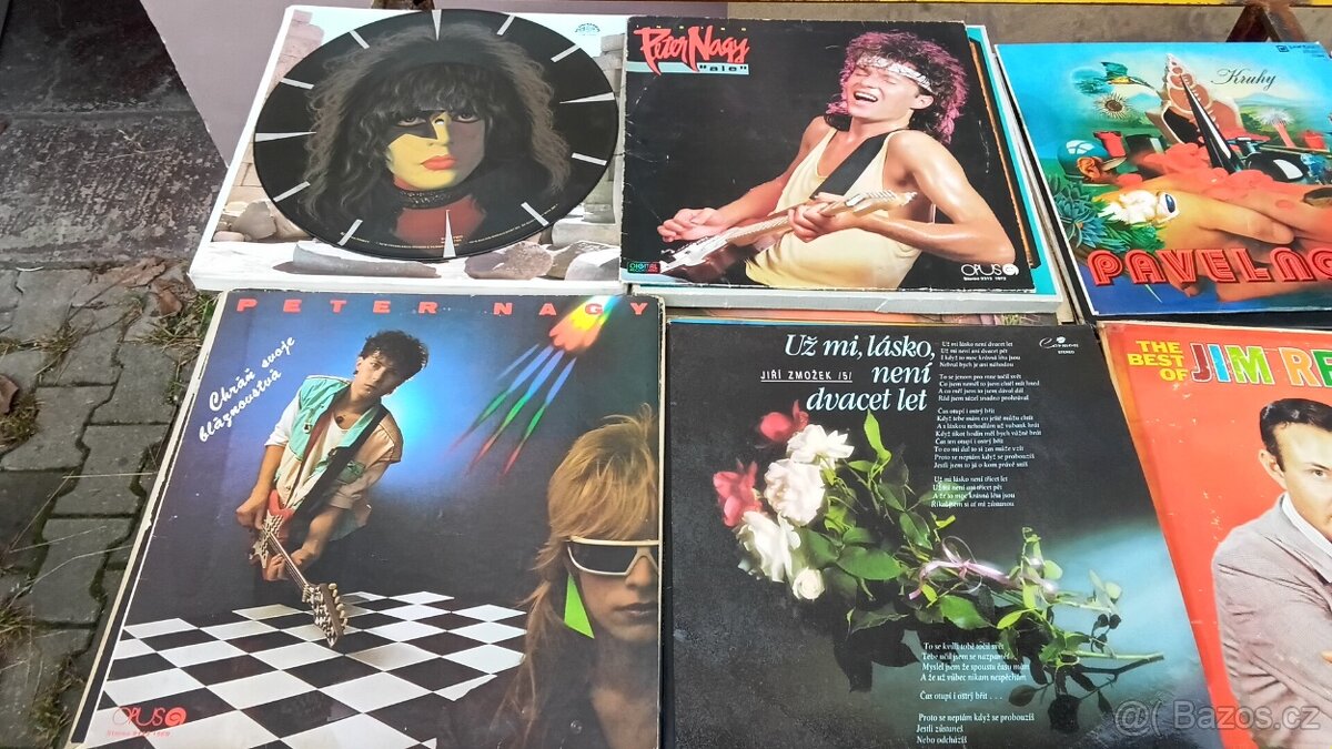 Lp desky různé žánry množství 300 ks. - 13