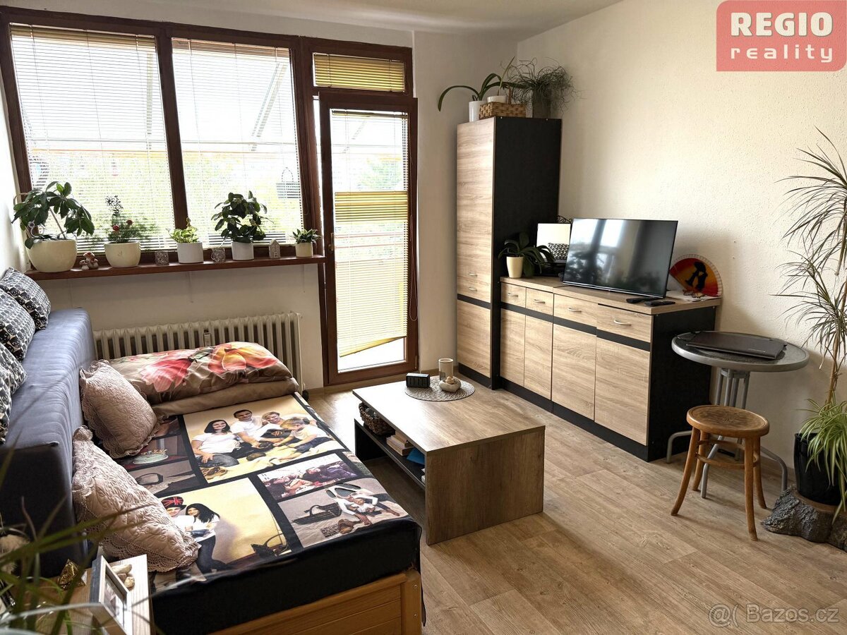 Prodej bytu 1+1 s lodžií, Malý Koloredov, Frýdek-Místek - 13