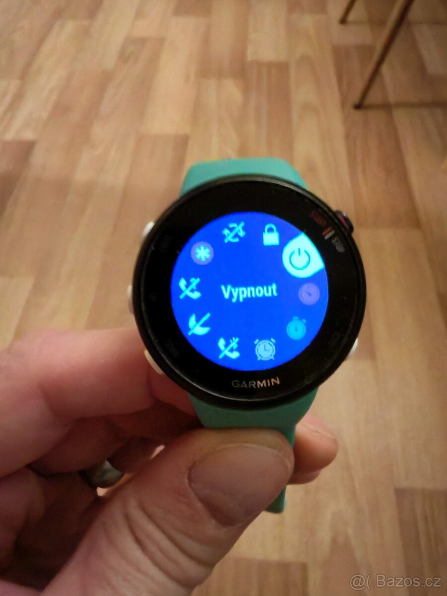 Garmin Forerunner 45s - 13