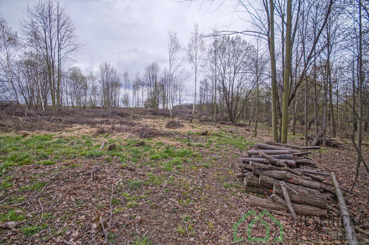 Prodej pozemku v obci Terezín u Mikulovic - 13