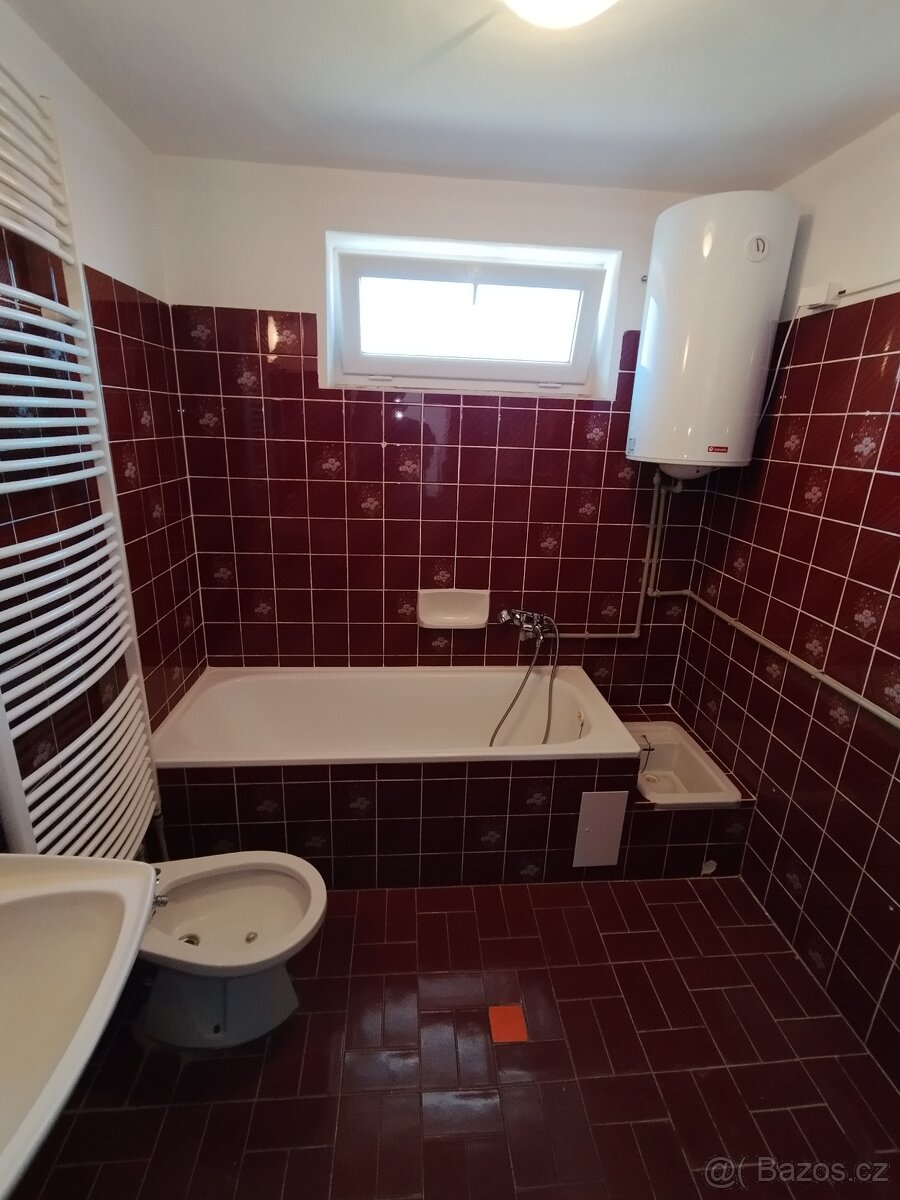 Byt 1+1 (48 m2) s terasou (16 m2) k pronájmu Hříšice u Dačic - 13