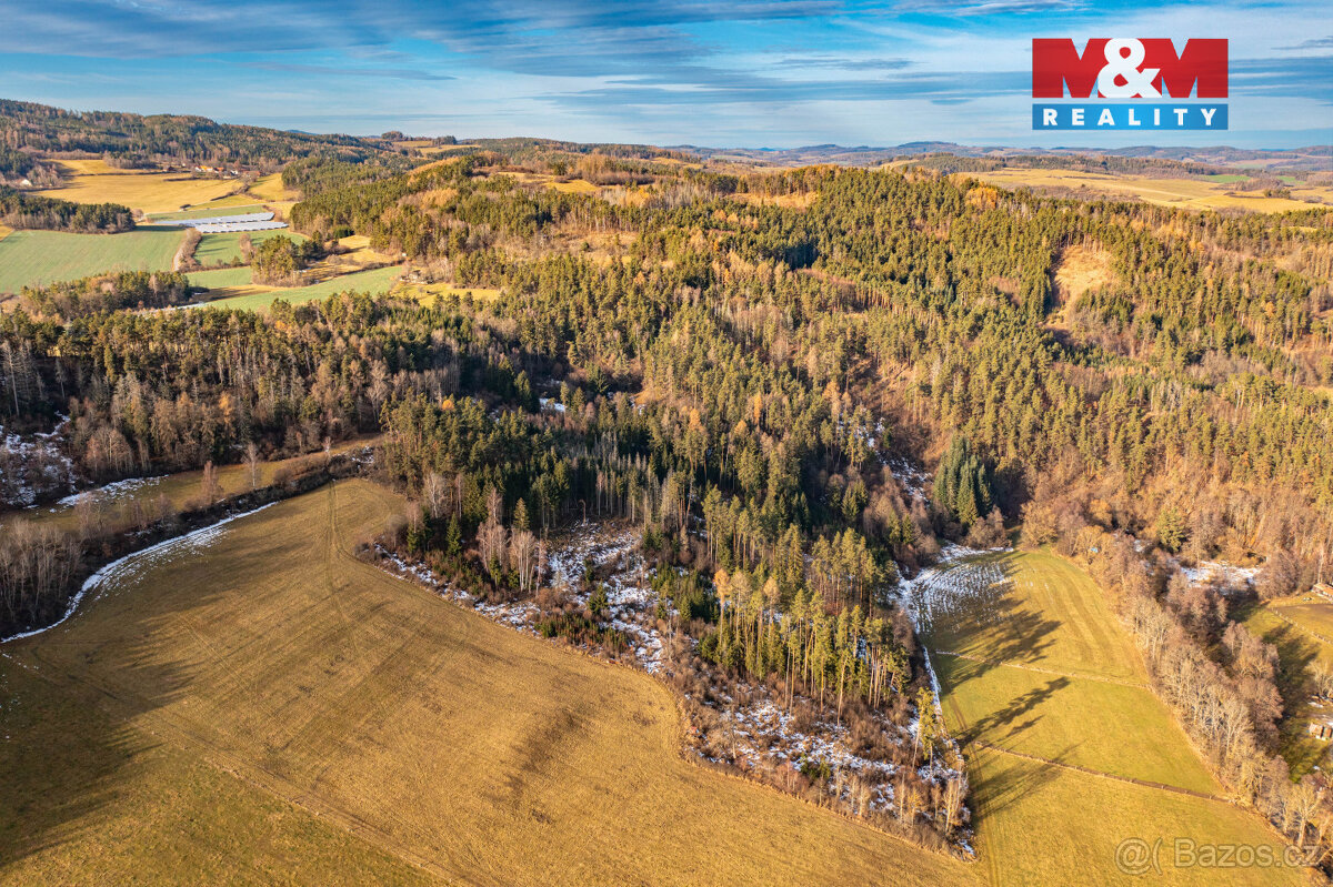 Prodej lesa, 13448 m², Malenice - 13