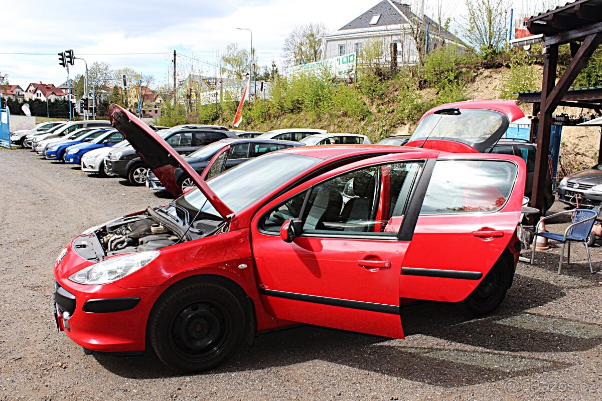 Peugeot 307 - 13