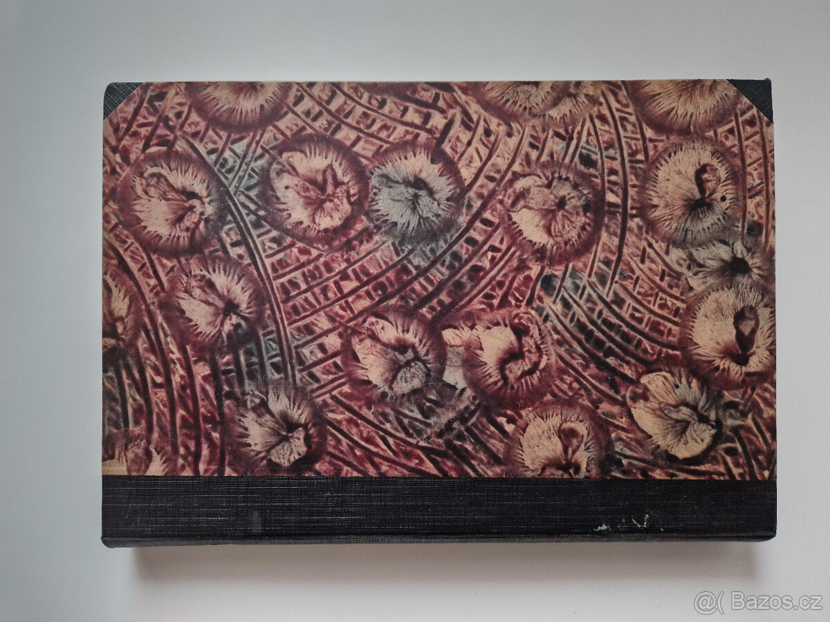 Svázané časopisy Rybářský věstník 4 ročníky 1927-1931 ryby - 13