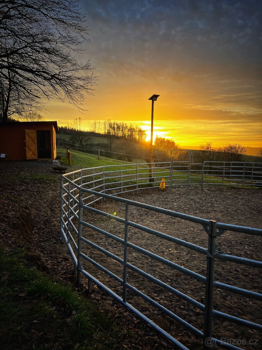 Pastevní ustájení v ráji i pro DUŠNÉ koně PRAHA 35 minut - 13